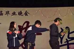 重履芳华,探寻岁月流转中的青春印记