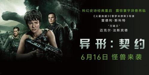 心跳的契约,揭秘心跳契约的神秘力量