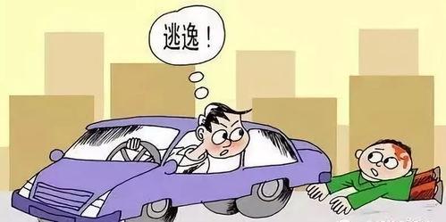 肇事者,揭开事故背后的真相与反思”