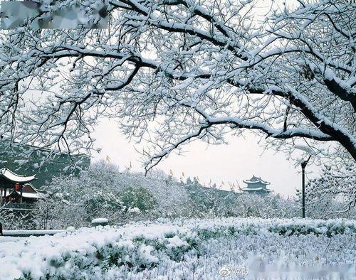 红梅遮雪佑子长安（童心如白纸莫使染尘埃）,童心如白纸，守护心灵净土